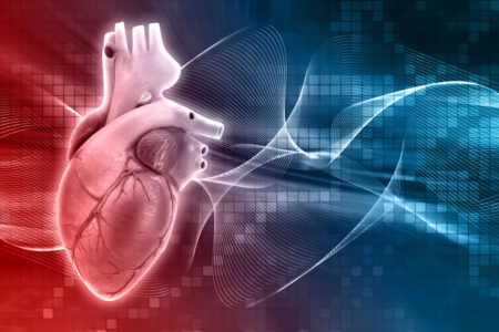 La rappresentazione di un cuore