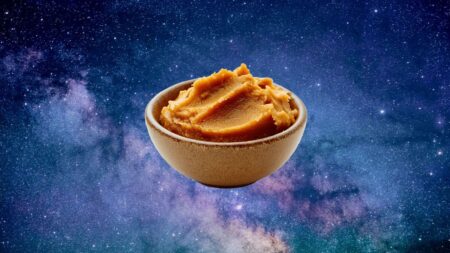 Una ciotola di miso