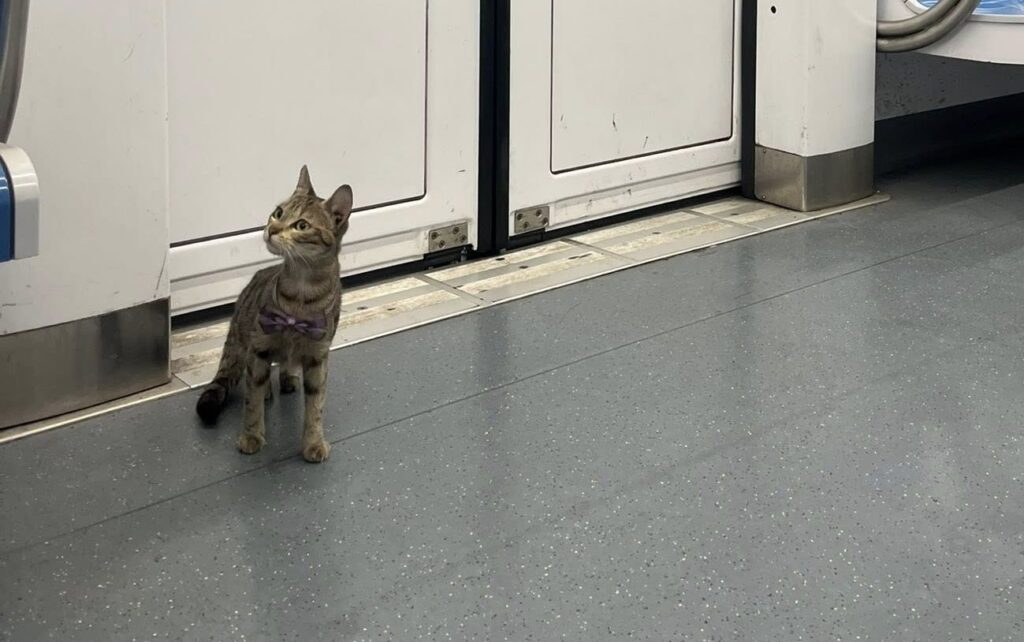 Yuna sulla metro