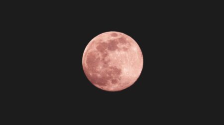 la Luna rosa