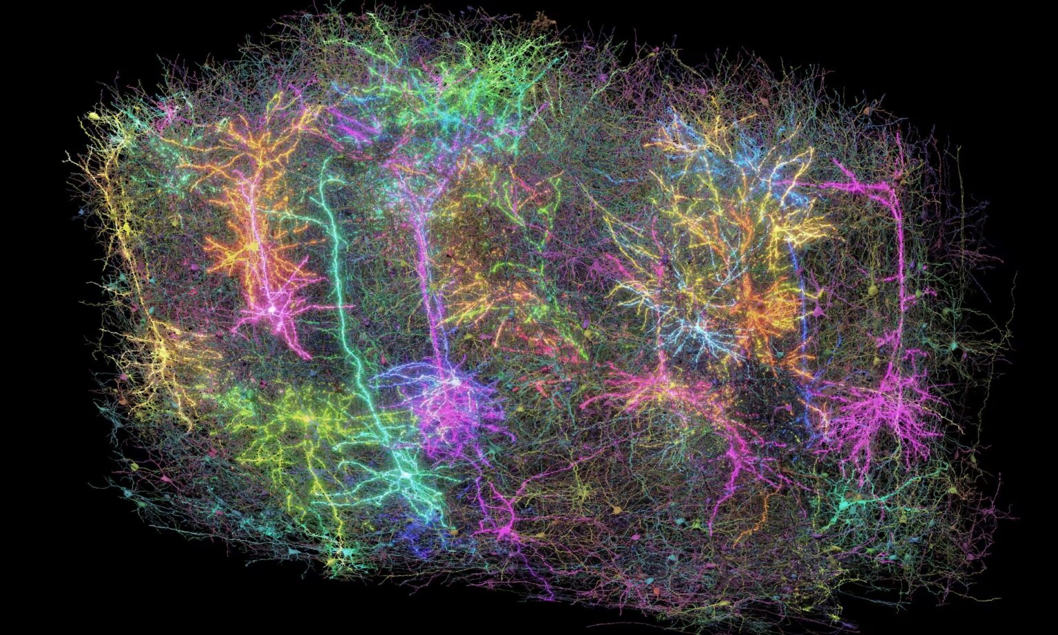 mappa cerebrale topolino
