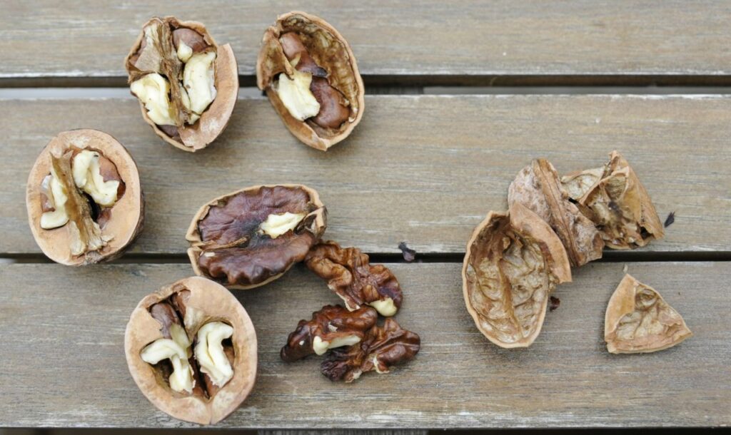 noci su un pavimento di legno