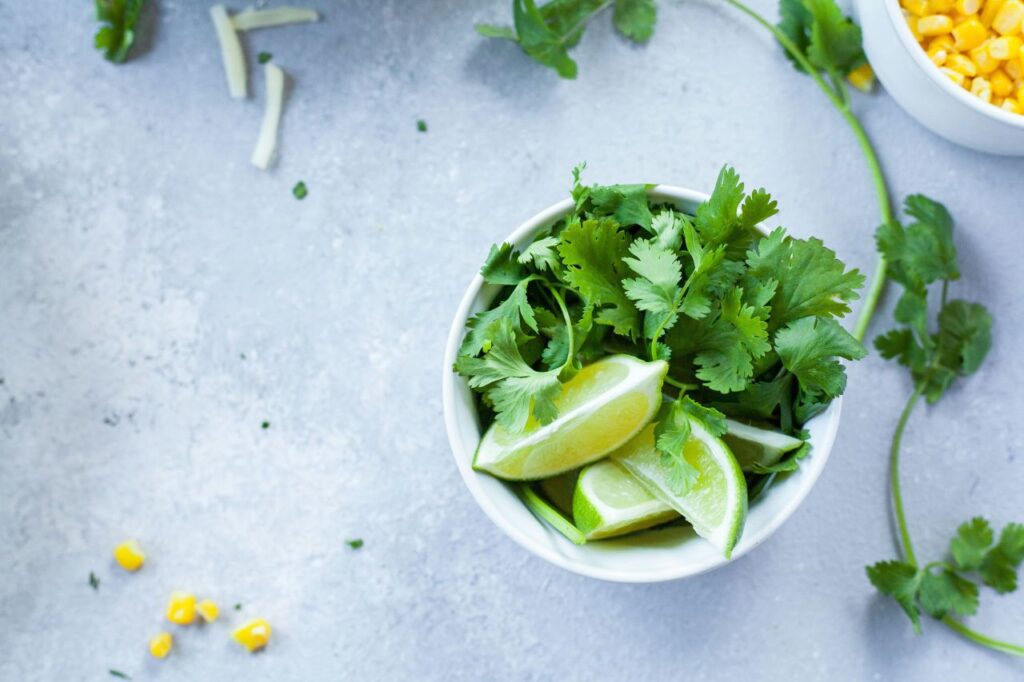 un mazzetto di cilantro