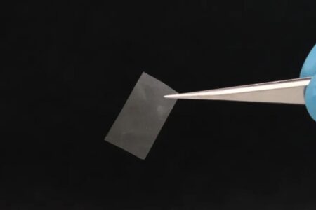 Il materiale a base di fungo