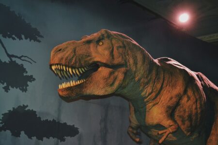 un t-rex