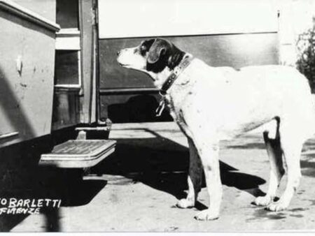 Fido in una foto d'epoca