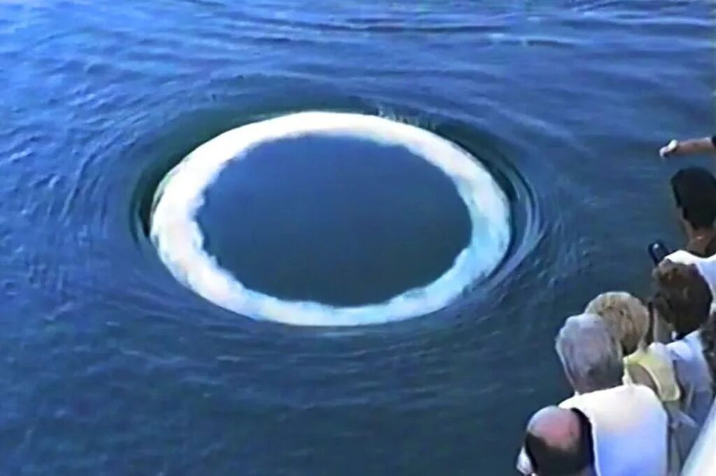 Il cerchio di fumo creato da una balena