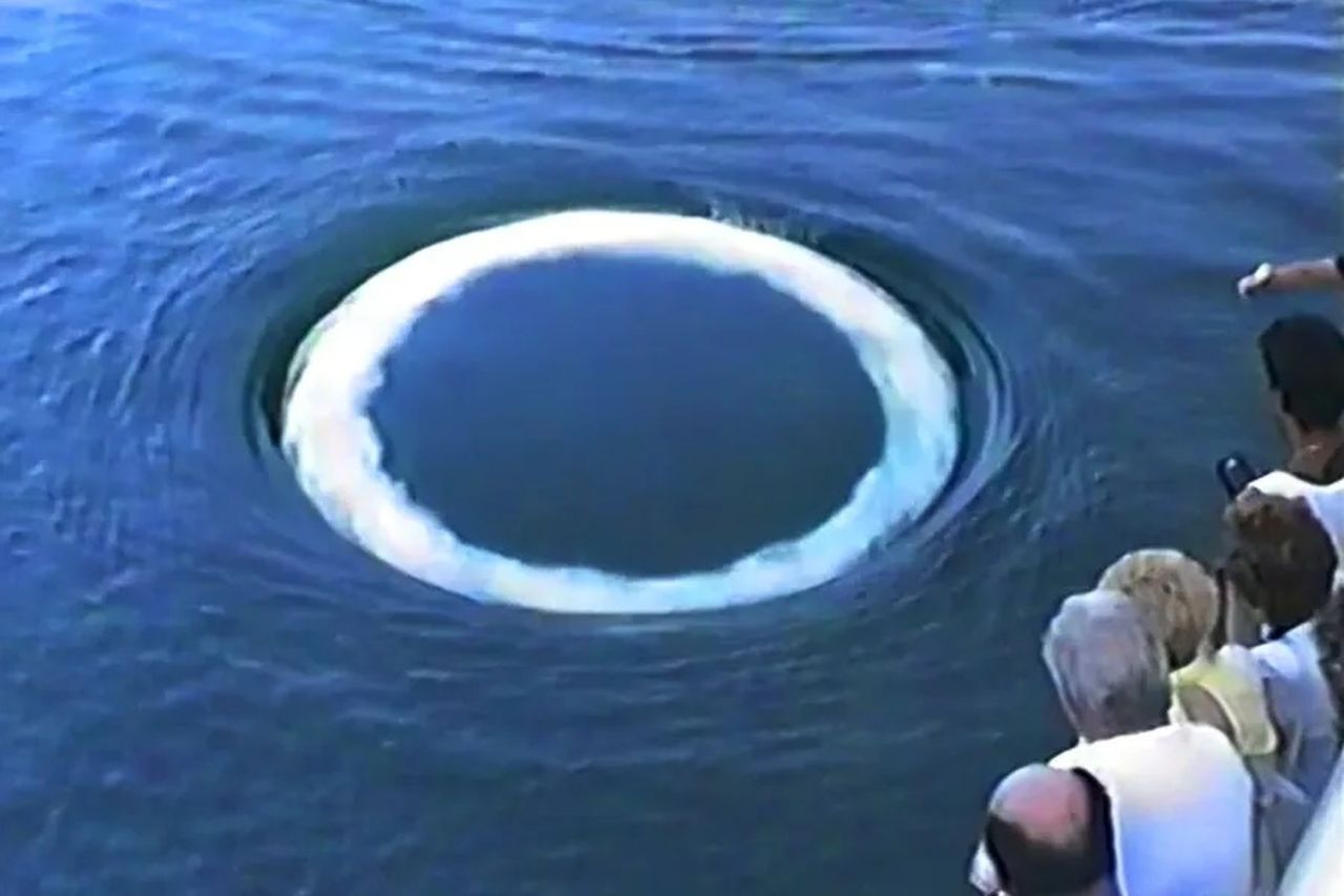 avete mai visto una balena fumare non ci crederete ma questo pu242 aiutarci a esplorare lo spazio