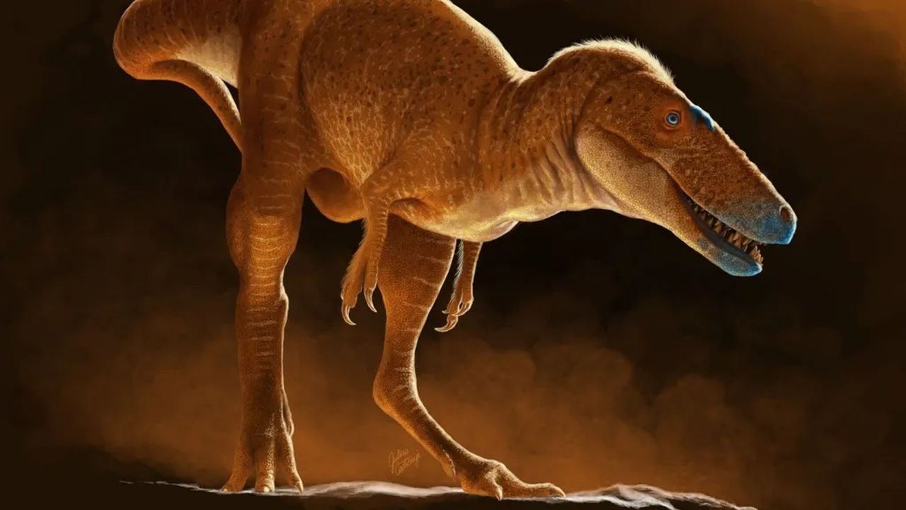 Trovato un nuovo dinosauro: riscriverà la storia dei T Rex? Trovato un nuovo dinosauro: riscriverà la storia dei T Rex?