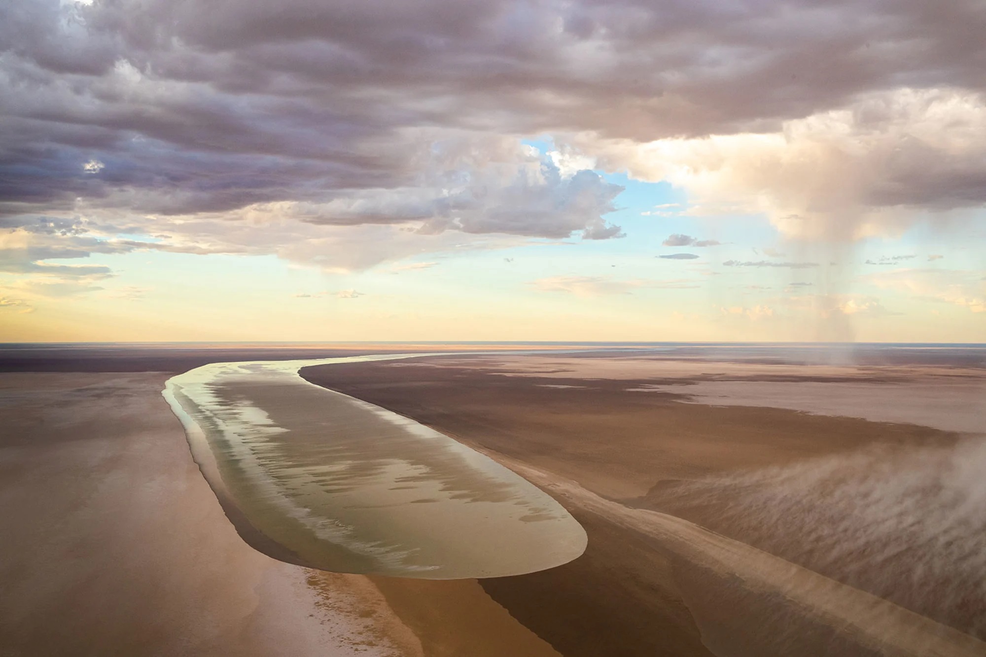 Da deserto a oasi: il miracolo australiano sta attirando animali e turisti Da deserto a oasi: il miracolo australiano sta attirando animali e turisti
