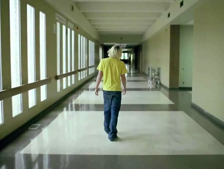 Voleva fare una strage a scuola, fermato in tempo: diciassettenne di Pescara era in una rete neonazi Una scena di Elephant