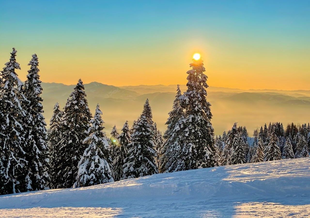 Un'immagine innevata della Siberia