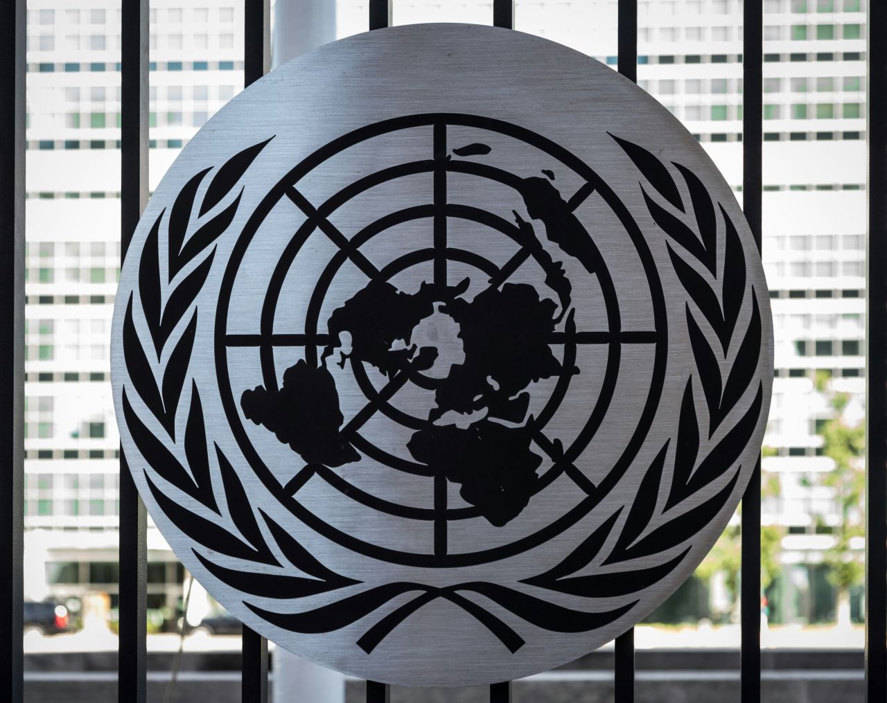 simbolo ONU