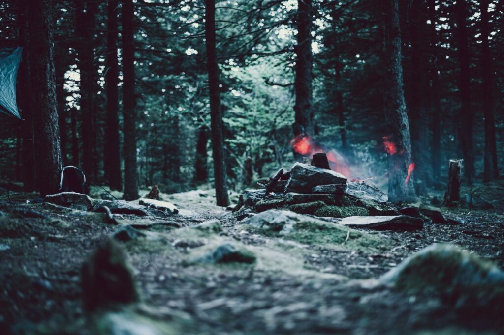 Chi sono i prepper, i survivalisti che si preparano all’Apocalisse uno scenario silvestre per i survivalisti