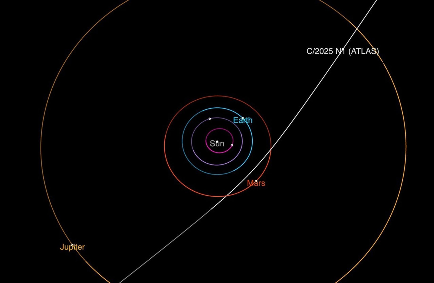 L'orbita della cometa