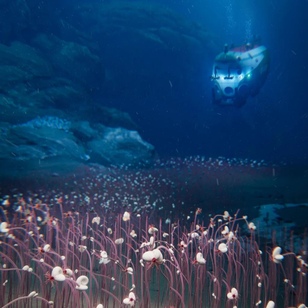 Immagini oceano