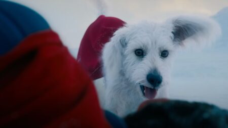 Krypto