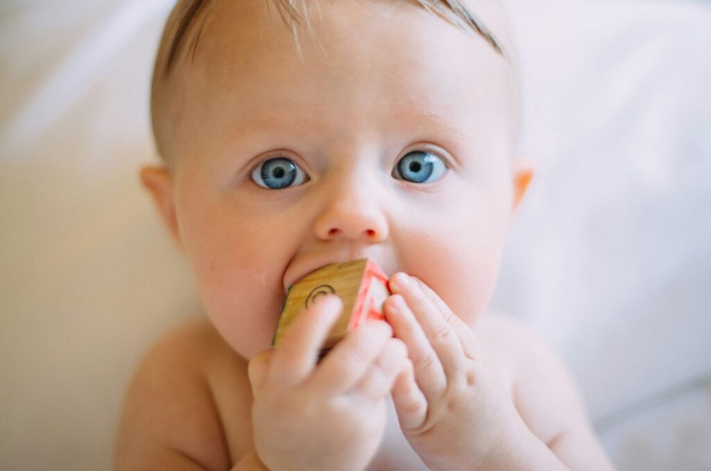 bimbo che morde cubo di legno