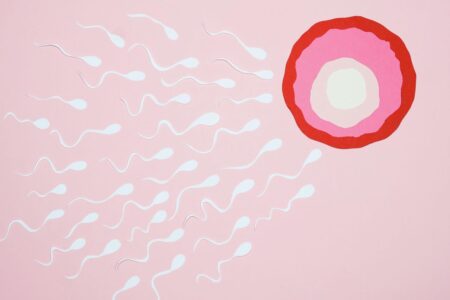 rappresentazione grafica spermatozoi e cellula uovo