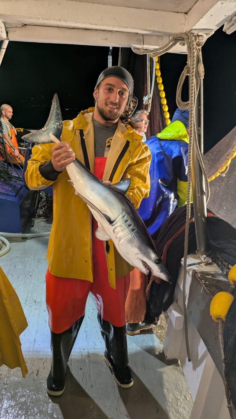 Lo squalo mako pescato a Deiva Marina
