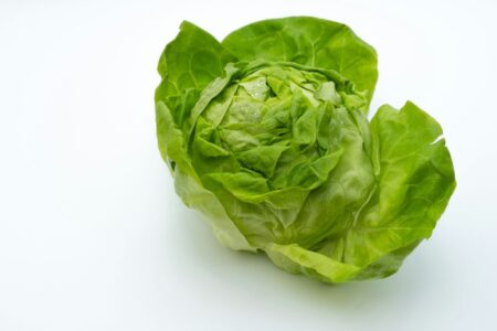 una lattuga iceberg