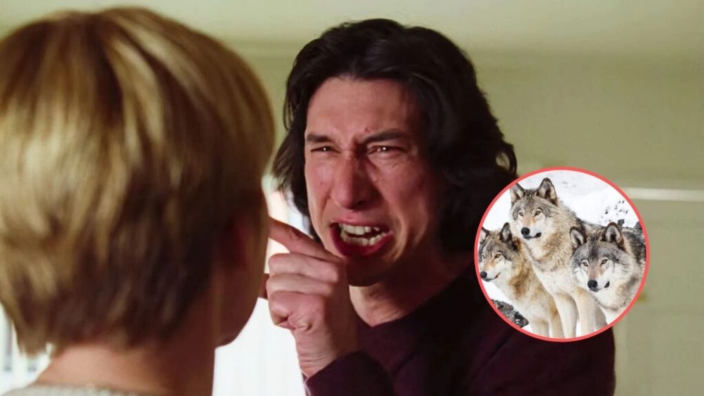 Adam Driver Scarlett Johansson e i lupi da spaventare