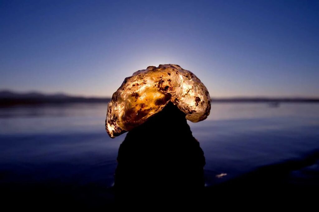 La bellissima creatura gommosa