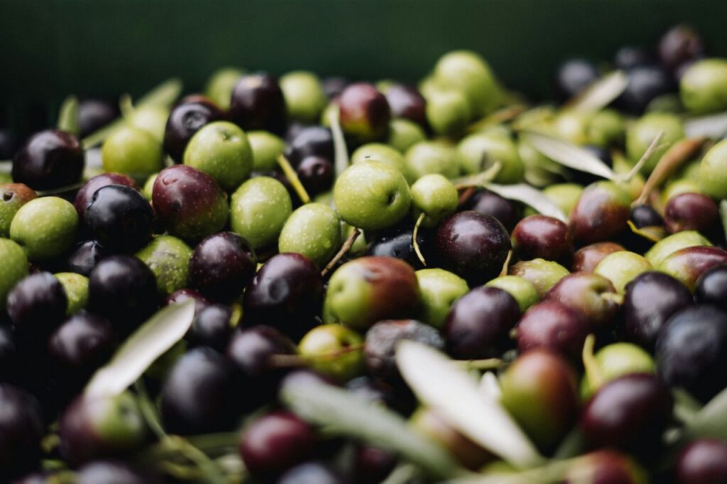 delle bellissime olive verdi e nere