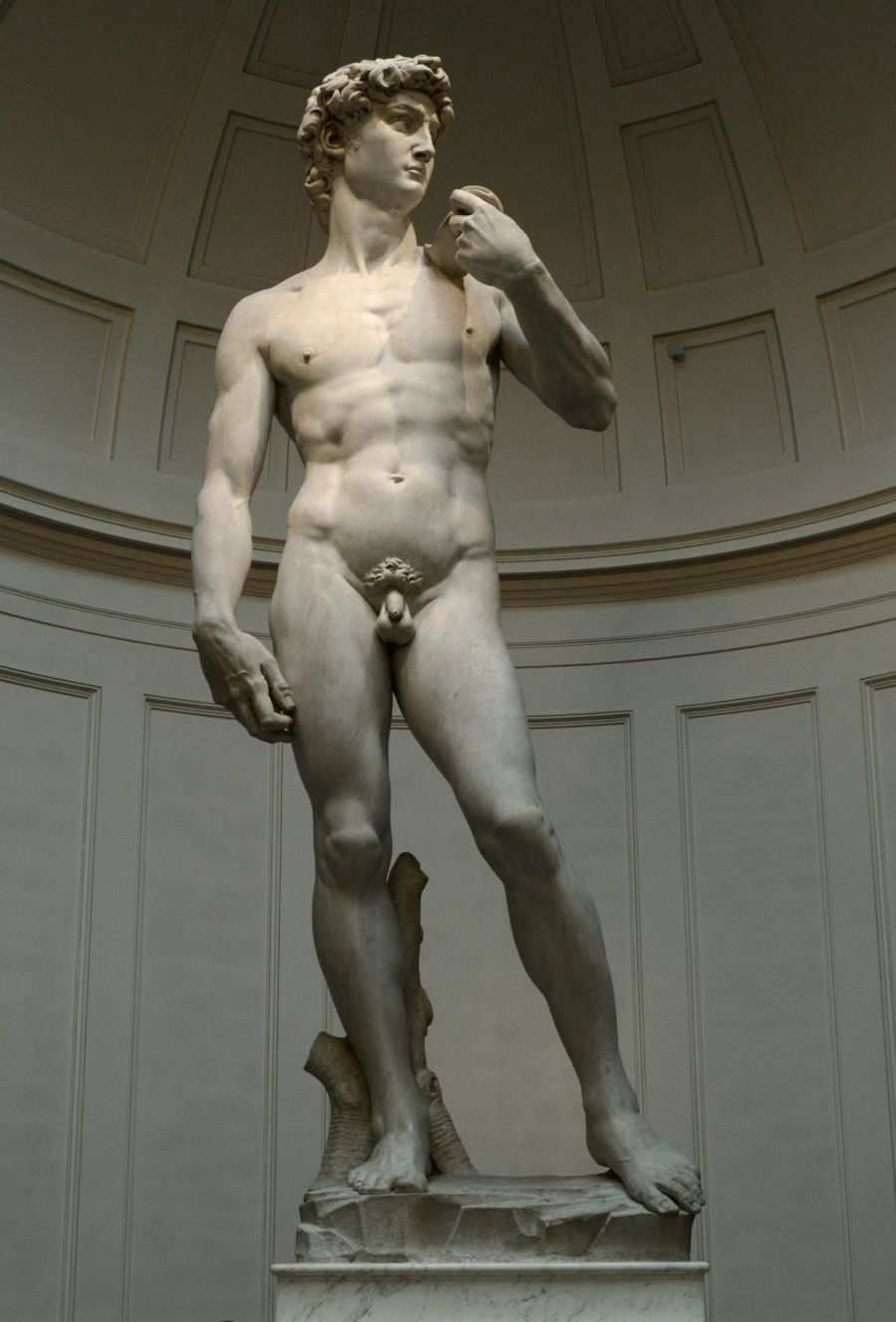 il David