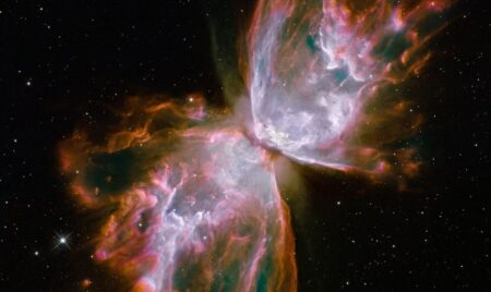 James Webb scova una farfalla che nasce tra le stelle e la scoperta cambia lo studio dello spazio Nebulosa farfalla