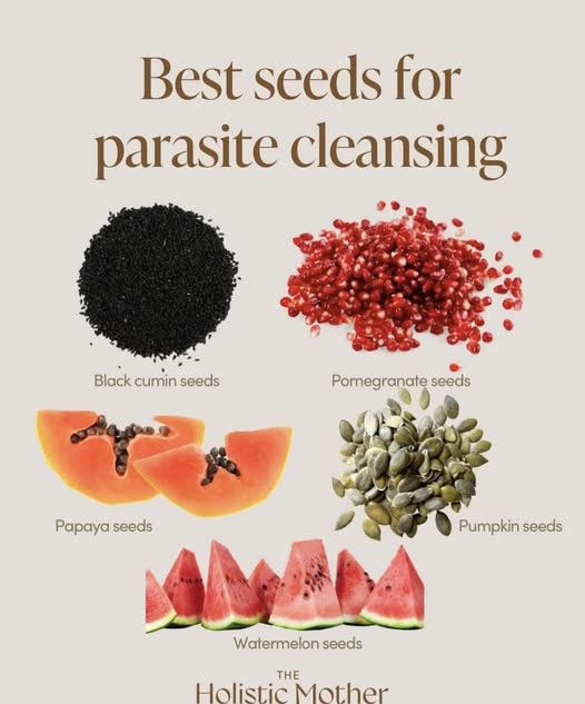 parasite cleansing