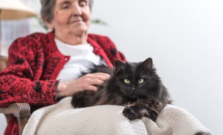 Signora anziana coccola il suo gatto