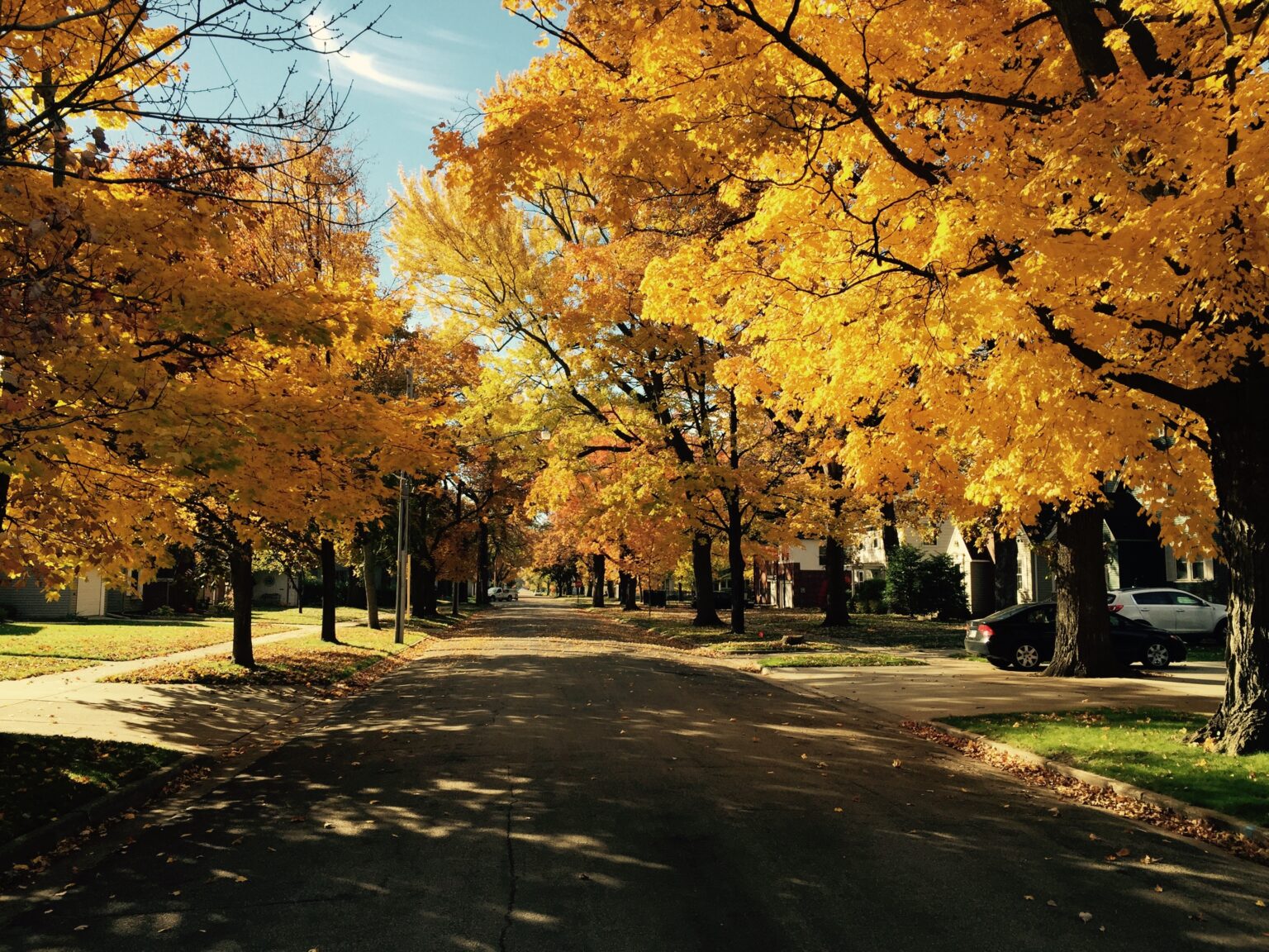 L'autunno sta per arrivare