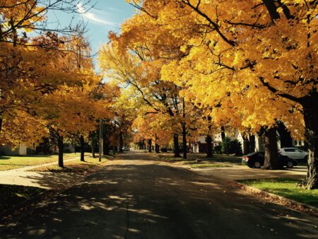 L'autunno sta per arrivare