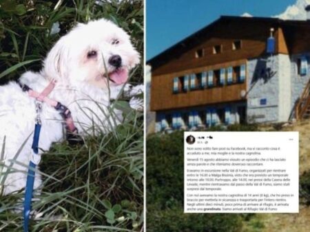 La dolce cagnolina