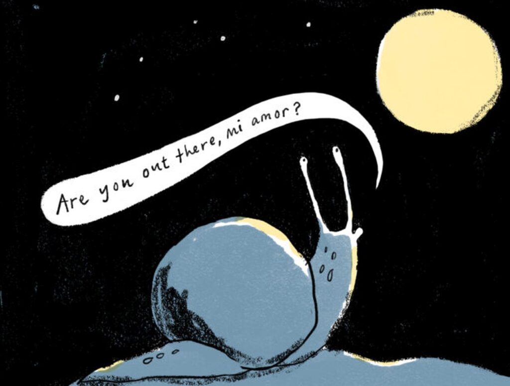 Ned, la lumaca mancina che cerca l’anima gemella: la favola più tenera dell’estate La lumaca solitaria