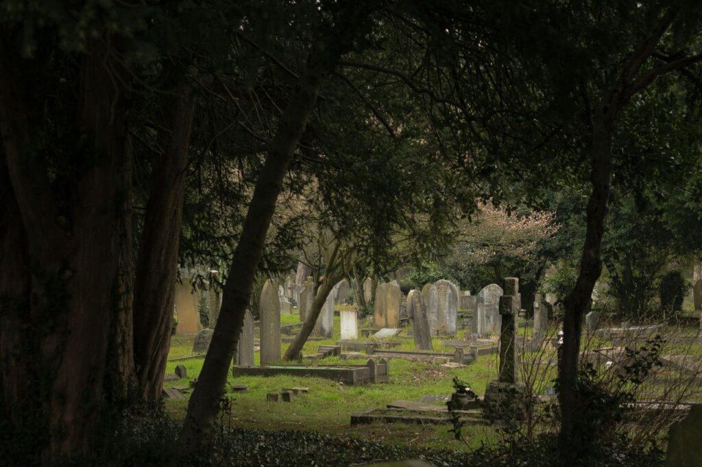 lo scorcio di un cimitero