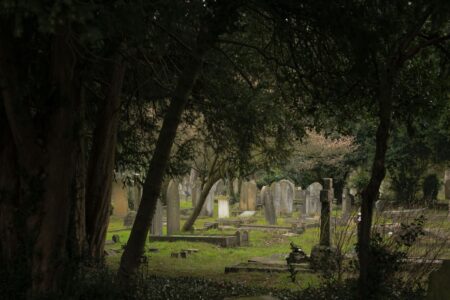 lo scorcio di un cimitero