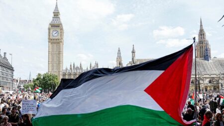 Riconoscere la Palestina: la mossa che potrebbe cambiare tutto (o no?) Una bandiera palestinese durante una manifestazione davanti al Parlamento britannico