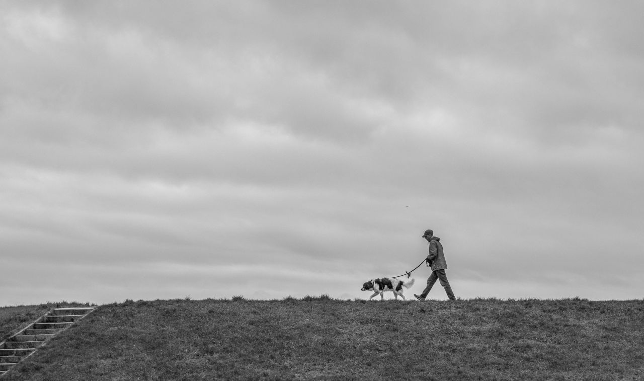 persona cammina con il suo cane