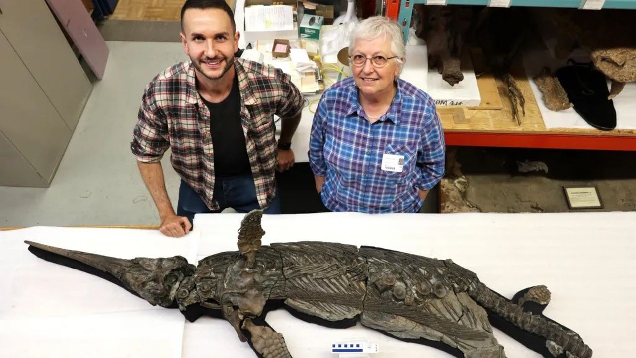 trovato il drago che mancava all8217evoluzione 193 milioni di anni dopo riappare il mostro dei mari