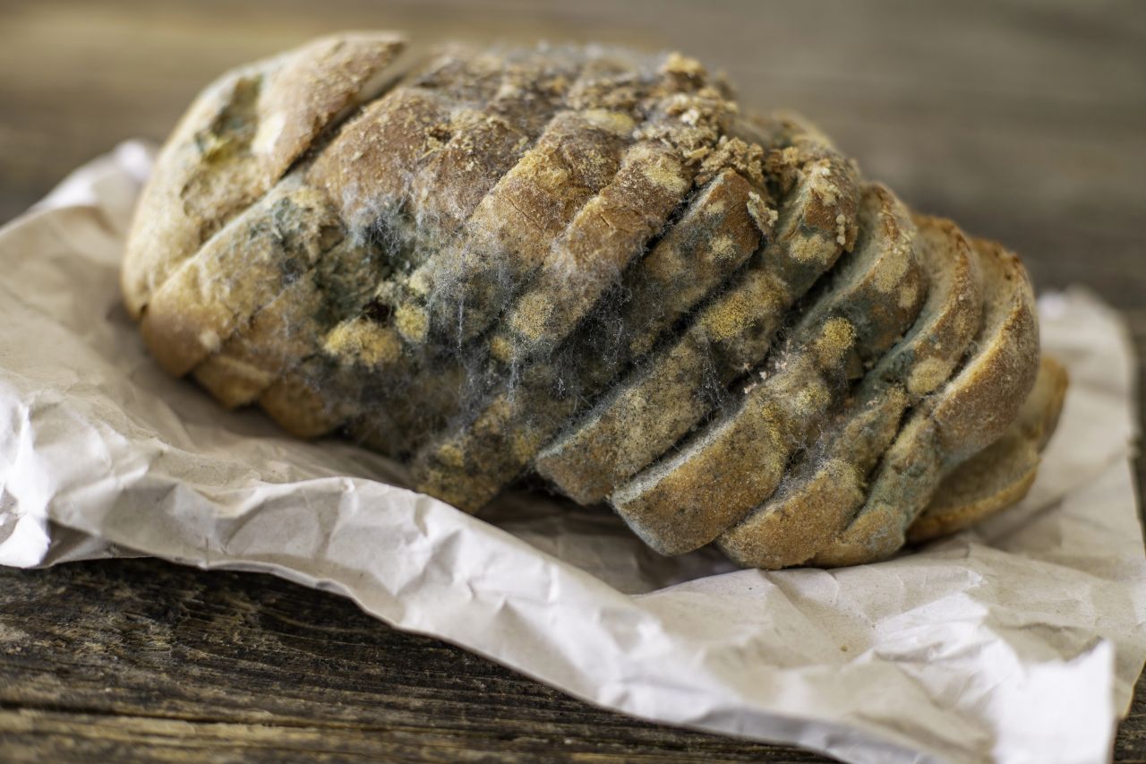 Muffa sul pane o sulla marmellata? Se fai questo errore rischi la salute Muffa sul pane o sulla marmellata? Se fai questo errore rischi la salute