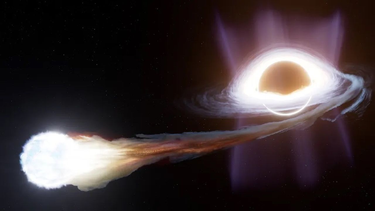 morte violenta di una stella l8217ha mangiata un buco nero che infrange tutte le regole conosciute