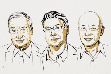 Ritratto dei vincitori del Nobel 2025 per l'economia