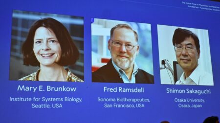 Mary E. Brunkow, Fred Ramsdell e Shimon Sakaguchi, i tre scienziati vincitori del Nobel per la Medicina 2025