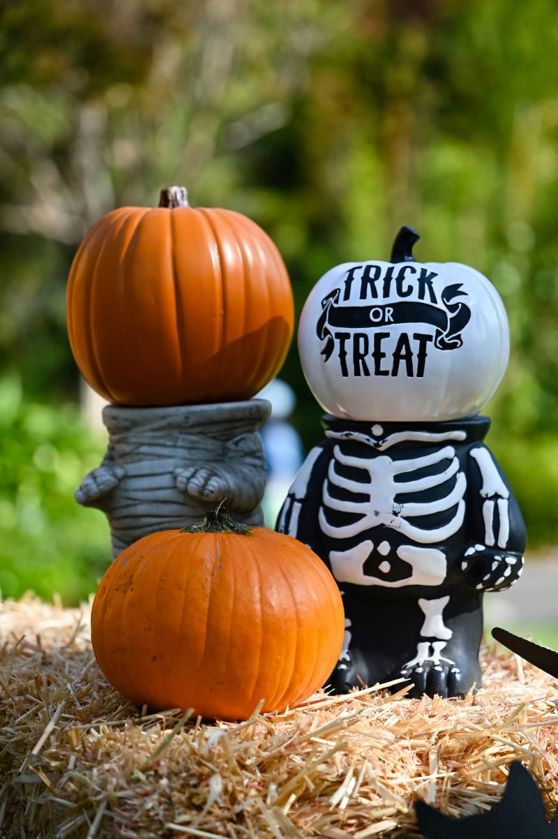 trick or treat