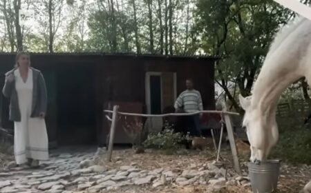 La famiglia nel bosco