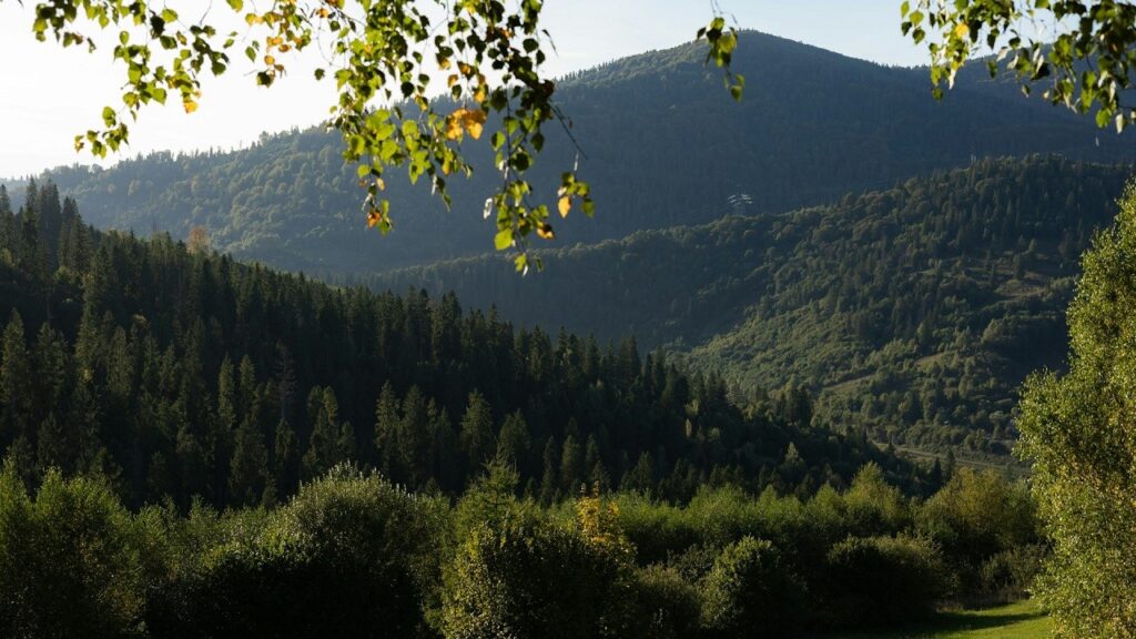 Un paesaggio montano