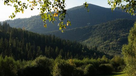 Un paesaggio montano