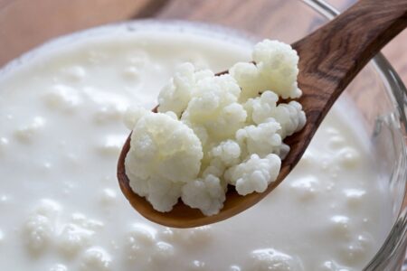 grani di kefir